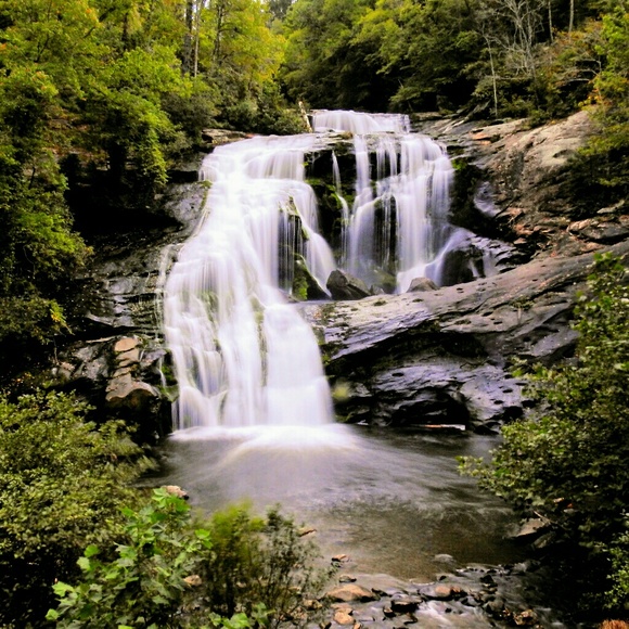 Meet Kat - Picture 5 of 8